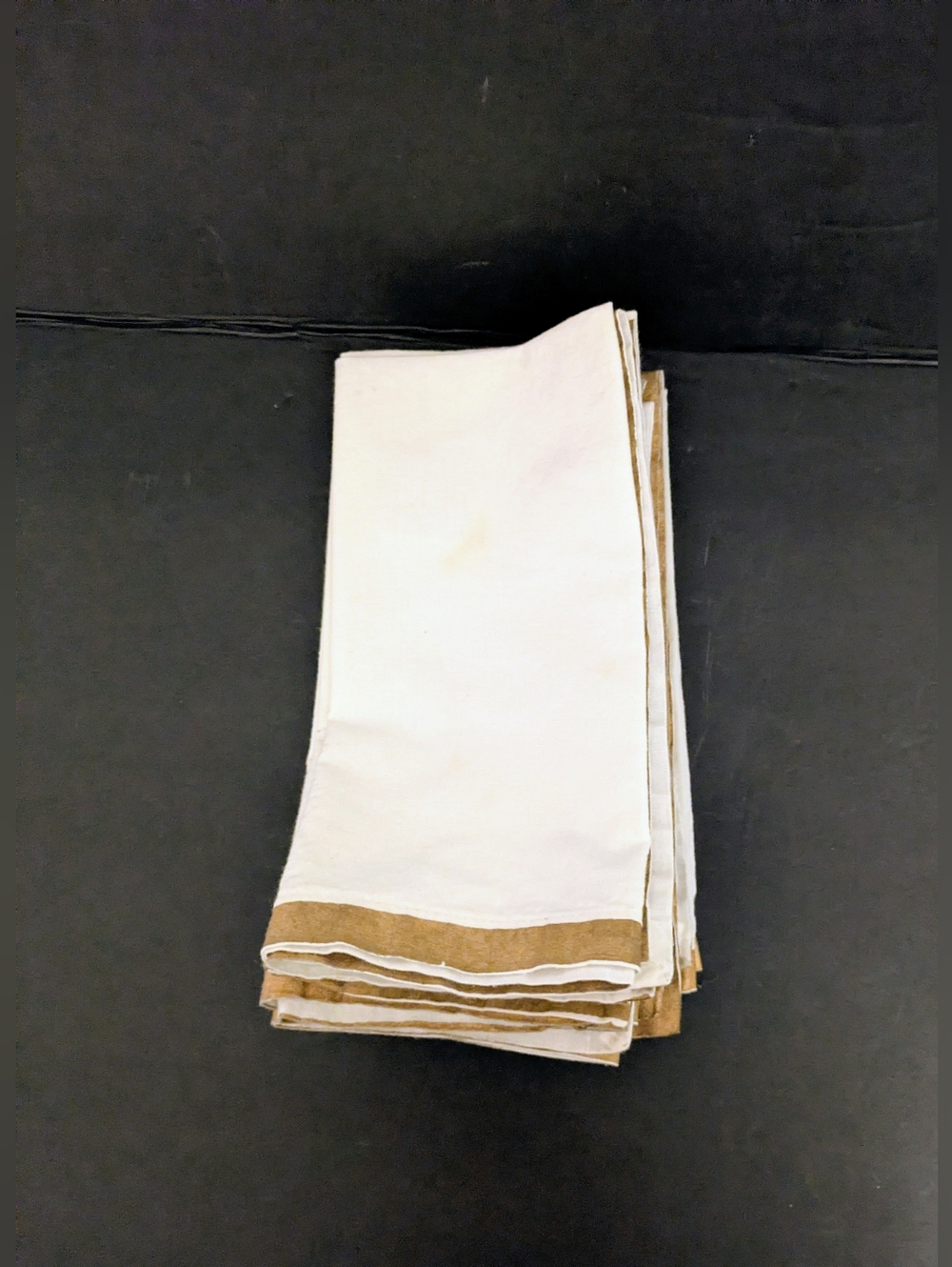 Napkins Beige Cotton Napkins with Tan Border Set 7